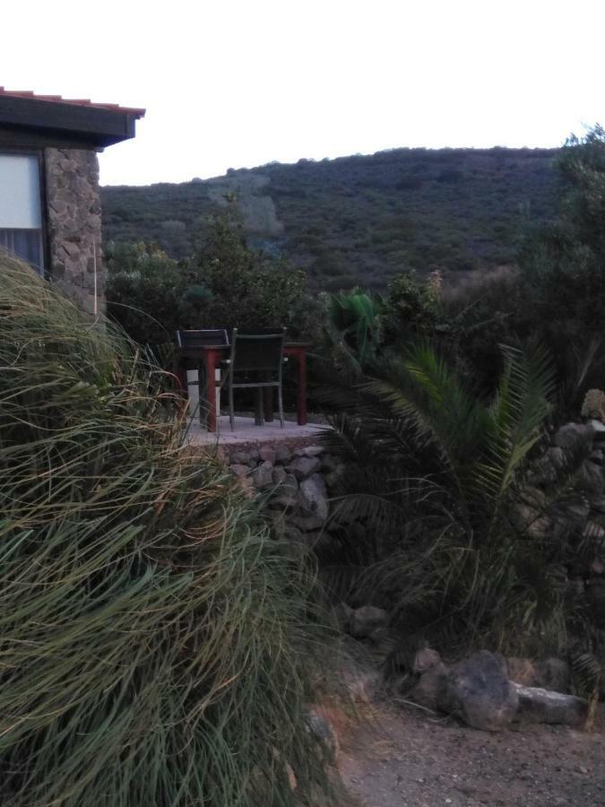 Casa Vista Bandama Vivienda Vacacional Tafira Екстериор снимка